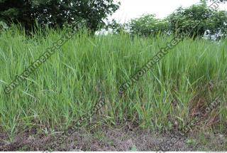 Photo of Various Textures